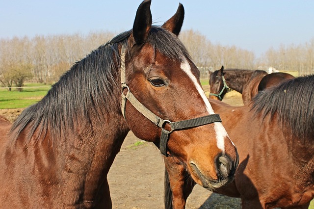 자녀를 위한 경제 교육: 우리 아이 첫 주식 계좌 개설 및 증여세 면제 한도 관련 이미지 1