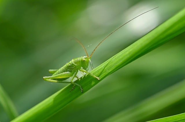 생명보험 vs 손해보험: 차이점 이해하고 나에게 맞는 보장 설계하기 관련 이미지 3