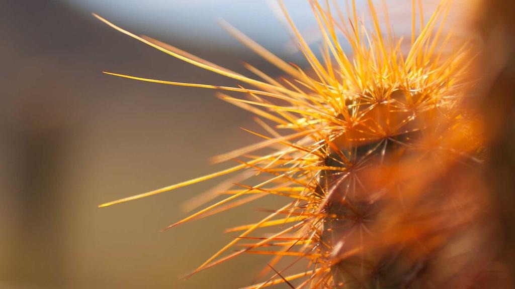 2026 전세대출 금리비교 은행별 완벽 가이드